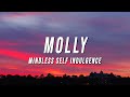Mindless Self Indulgence - Molly (TikTok Remix) [Lyrics]