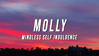 Mindless Self Indulgence - Molly (TikTok Remix) [Lyrics]
