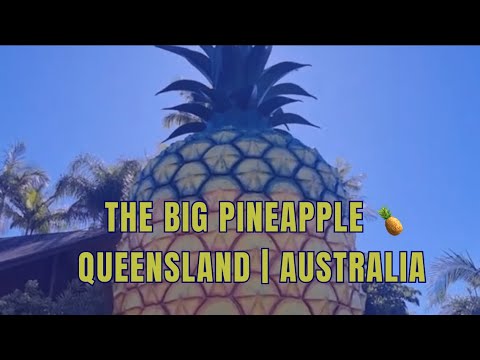 The Big Pineapple 🍍 Sunshine Coast | Queensland |Australia