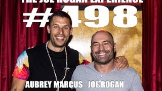 Joe Rogan Experience #498 - Aubrey Marcus