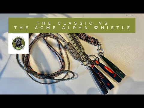 Dog Training Whistle Review - Classic Acme vs Acme Alpha