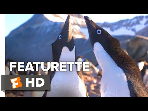 Penguins (Featurette 'All About Steve')