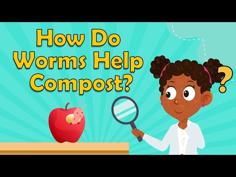 Do Worms Need Oxygen