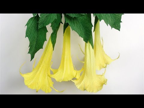 ABC TV | How To Make Brugmansia Paper Flower From Crepe Paper - Craft Tutorial