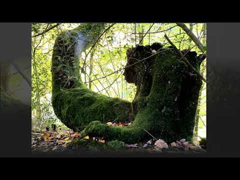 2021 10 25 Männerrunde mit einigem Auf & Ab um Eicherscheid/Simmerath