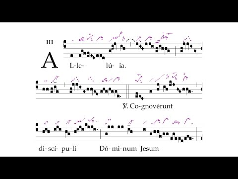 Alleluia: Cognoverunt discipuli