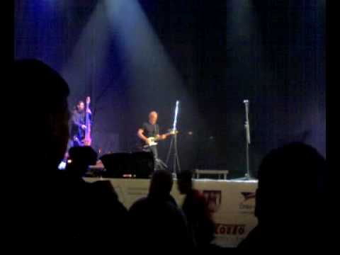 čechomor-Súsedovi koně(Žatecká dočesná 2009)