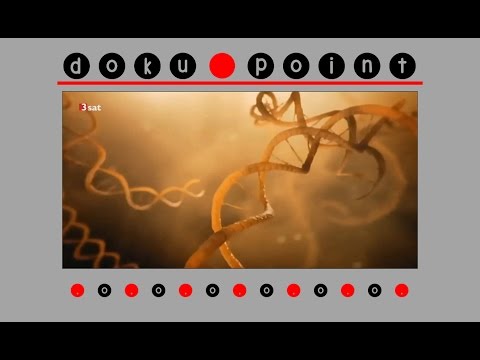 Doku (2016) - Unsere Evolution: Woher wir kommen - HD/HQ
