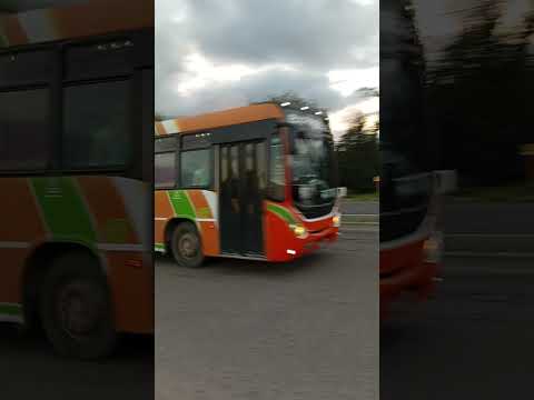 Linea Exprebus Tucumán