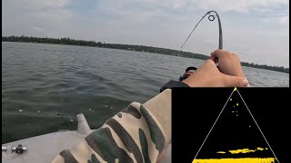 A Solid Lunker Search on Emma Lake