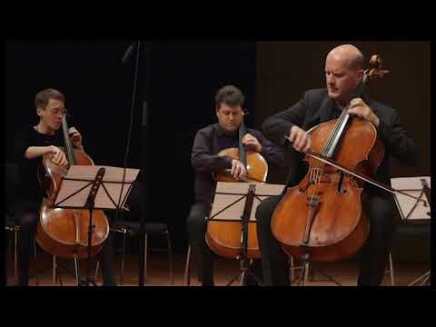 Hommage á Maria Kliegel  - 16. P. I. Tschaikowsky - Andante Cantabile