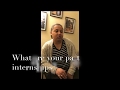 Cooke School Internship Corner Taina