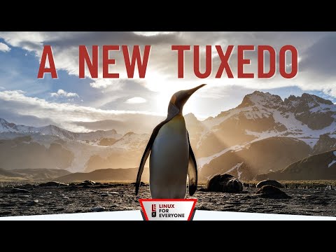 Why I Said NO To A Job At Dell