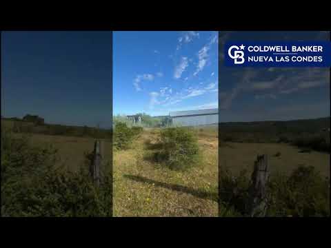 ID 34.143 - ¡Excelente Oportunidad! Terreno en Venta Los Muermos