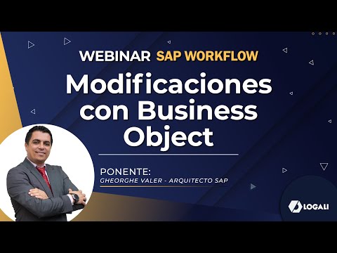 Workflow SAP Workflow – Modificaciones con Business Object