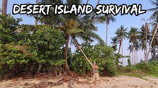 Desert Island Survival How To Create FIRE with a Knife Catch and Cook Mp4 3GP & Mp3