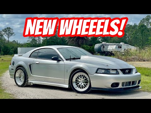 New Wheels! | OG Car Coyote Swap