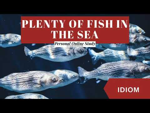 Video lesson: plenty of fish in the sea explained