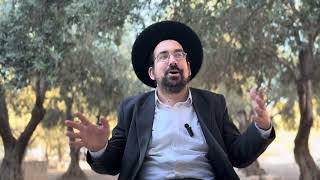 עיקר פרשת בראשית || איסרו חג || ברכה לכלה | הרב אליהו ובר (ישיבת הר הבית) - התמונה מוצגת ישירות מתוך אתר האינטרנט יוטיוב. זכויות היוצרים בתמונה שייכות ליוצרה. קישור קרדיט למקור התוכן נמצא בתוך דף הסרטון עיקר פרשת בראשית || איסרו חג || ברכה לכלה | הרב אליהו ובר (ישיבת הר הבית) - התמונה מוצגת ישירות מתוך אתר האינטרנט יוטיוב. זכויות היוצרים בתמונה שייכות ליוצרה. קישור קרדיט למקור התוכן נמצא בתוך דף הסרטון