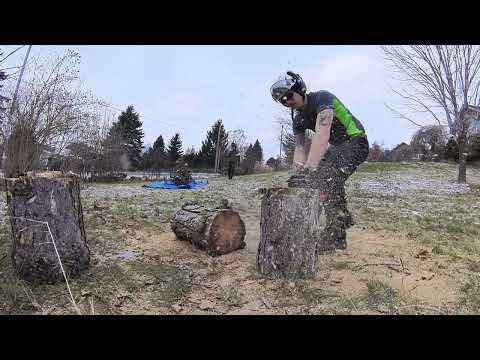 First Glimpse at Snow! Removing some trees!