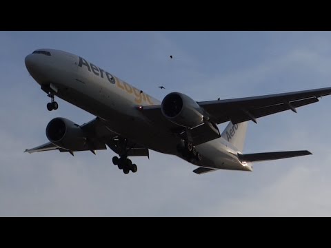 1 hour planespotting at Frankfurt Airport! Crosswind, hard landings, close-ups and more...