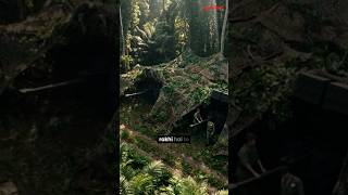 How India Tracks It's Enemies From the Space?? | upGrad #shorts