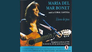 Què Volen Aquesta Gent? (En Directe)