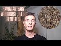 Hawaiian Baby Woodrose Seeds Benefits - Life Changing!