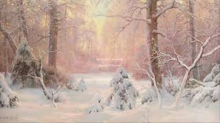 𝐏𝐥𝐚𝐲𝐥𝐢𝐬𝐭 • the little snowflake | a quiet piano playlist