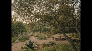 Luciano Giubbilei, Landscape and Garden Designer, UK - 27 November 2024