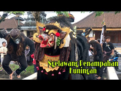 Barong Bangkung Bawi_Widyamurti Ngelawang Di Sading 2021