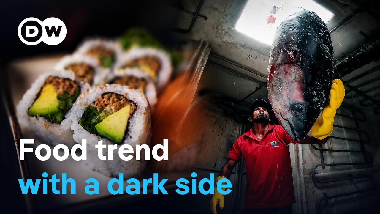 The sushi hype - Ravenous appetites and species extinction | DW Documentary