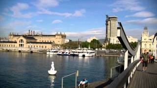 A la sombra de un León