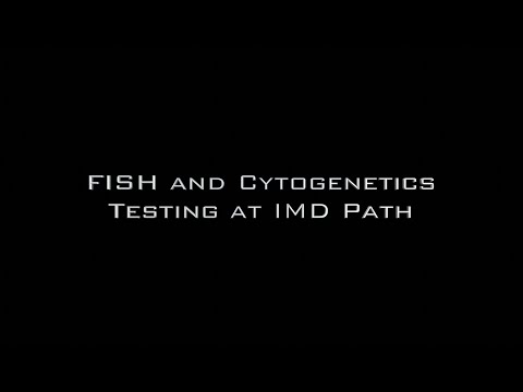 FISH & Cytogenetics Testing at IMD