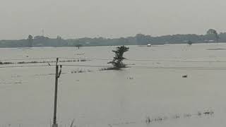preview picture of video 'Flood सैलाब से डूबा कटिहार katihar जिला का बारसोई barsoi ilaqa'