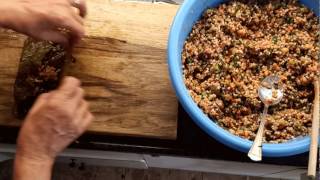 מתכון עלי גפן ממולאים