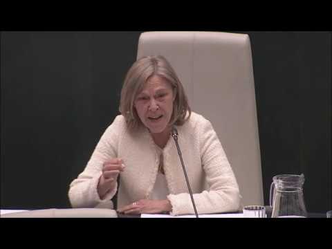 Román: la ?participación ciudadana? de Carmena «no es real, es una mera apariencia, un puro paripé»