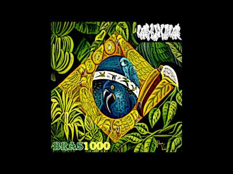Felipe Haxincha - Bras1000 [Prod.BilloNogueira]
