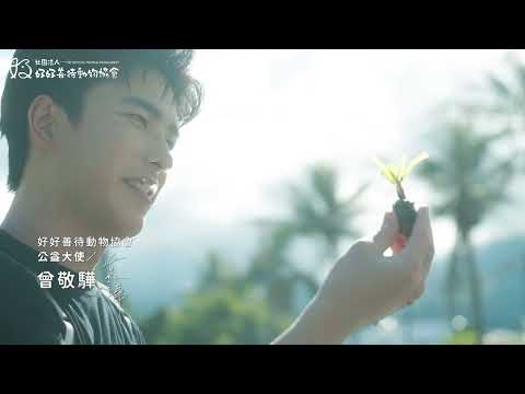 海草復育公益影片（MOU with 好好善待動物協會）