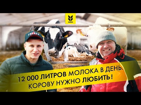 , title : 'Молочная ферма в Украине. Корова деликатное животное, ее нужно любить и беречь с рождения.'