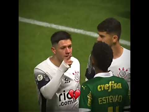 Veiga botando os gambás para dormir!🗿🍷#palmeiras #shortsviral #shorts #veiga #corinthians #garro