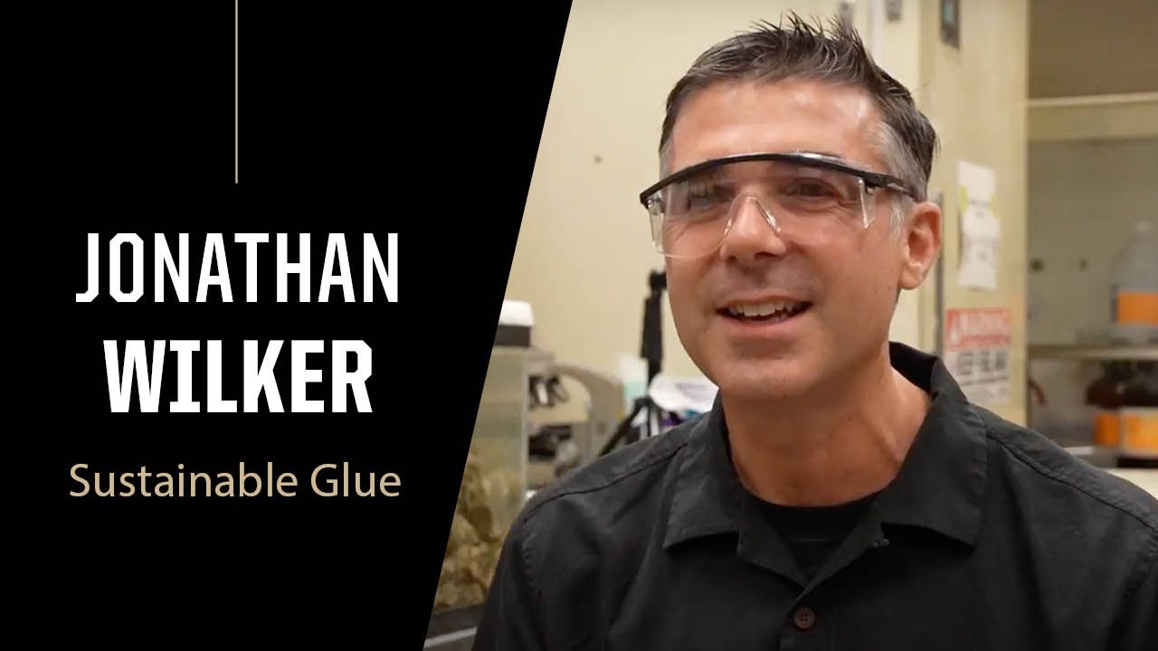 Purdue Expert: Sustainable Glue
