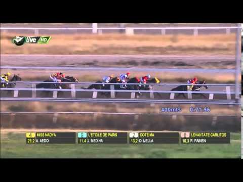 Carrera N°13, Domingo 29 de marzo 2015. Club Hípico de Santiago