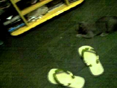 Brincando com um grampo preto...que "só ela encherga".