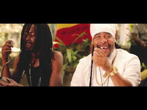 Turbulence - Celebration of Life (Official Music Video)