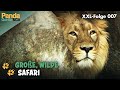 XXL Safari Spezial Die Big Five Im Zoo Berlin Panda Gorilla Co