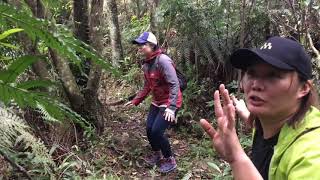 郊山行者 | 2021首爬新北最高小學！還見到隱身山林的神秘怪物？(石碇_風露嘴山-茶園-雲海國小-潭腰)