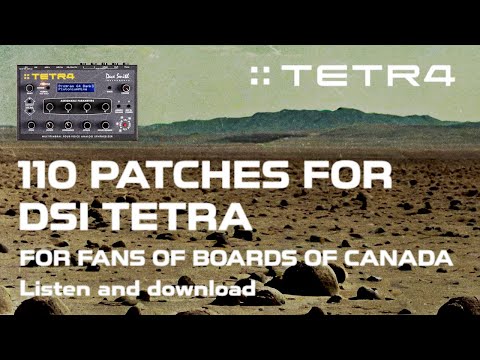 Dave Smith Instruments Tetra Desktop 4-Voice Polyphonic Synthesizer 2009 - 2016 - Black image 4
