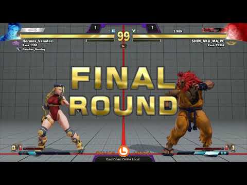 Hermes Venatori (Cammy) vs SHIN AKU MA (Akuma)