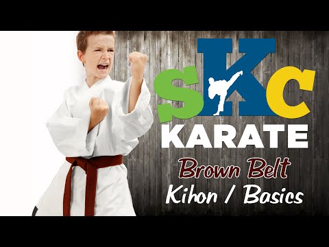 Karate Shotokan Brown 3kyu Belt Basics kihon